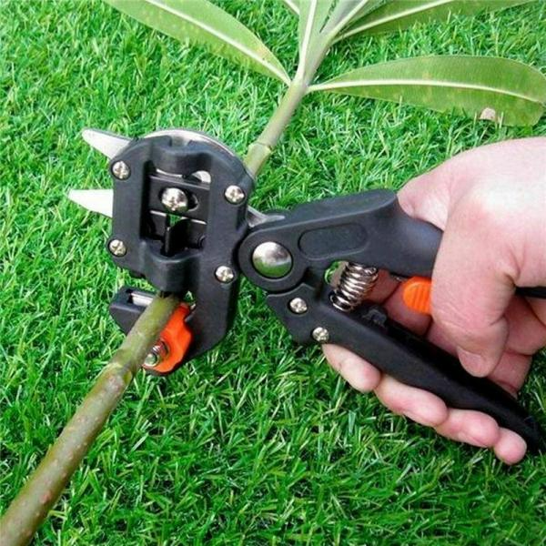REDUCERE: Cleste Profesional Pentru Altoit Pomi, Cu 3 Lame + Banda Pentru Altoit CADOU
