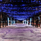 Instalatie De Craciun, Cu Incarcare Solara, 100 LED, Albastru, 10m, 1+1 CADOU